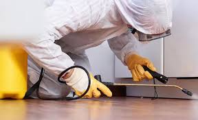 Emergency Pest Control Services in Citrus Park, AZ